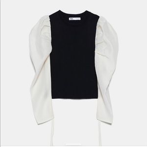 Zara Organza Long Sleeve Black and White Blouse